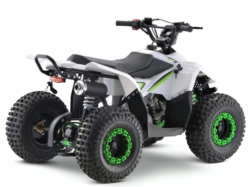 110cc Gas Powered Kids ATV 4 W - Kids Toys Quad review and price