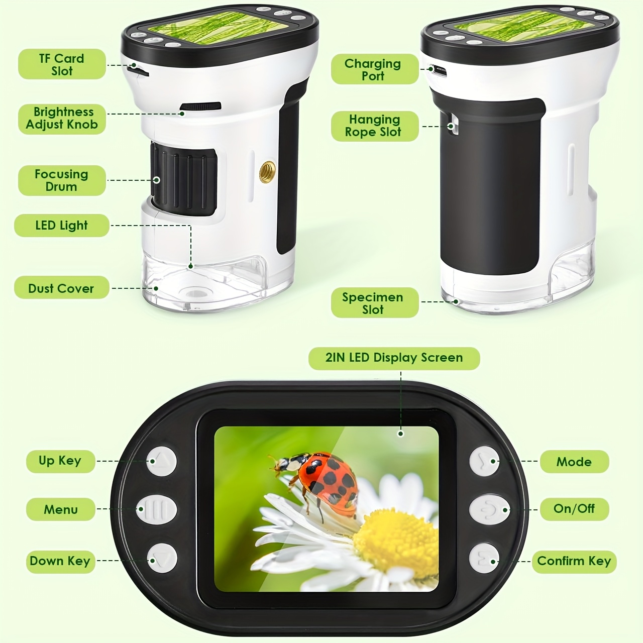 Kids Microscope Biological Kit - Kids Toys Horse review and price