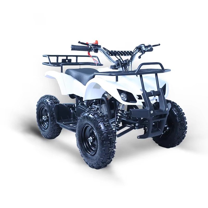 49cc Mini ATV Kids Quad Bike 2 - Kids Toys Quad review and price