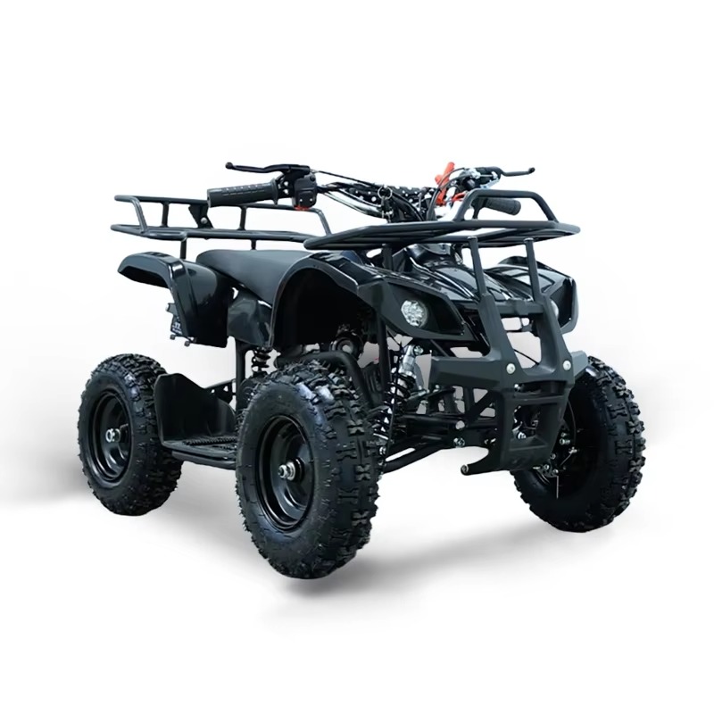 49cc Mini ATV Kids Quad Bike 2 - Kids Toys Quad review and price